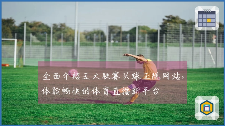全面介绍五大联赛买球正规网站，体验畅快的体育直播新平台