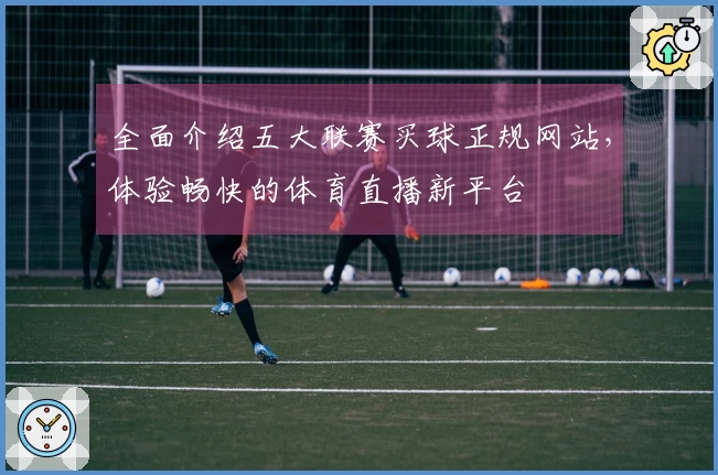 全面介绍五大联赛买球正规网站，体验畅快的体育直播新平台